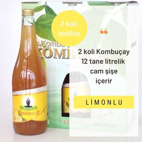 KOMBUÇAY LİMONLU 2 KOLİ - 3