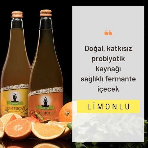 Kombuçay Limonlu 3 KOLİ - 2