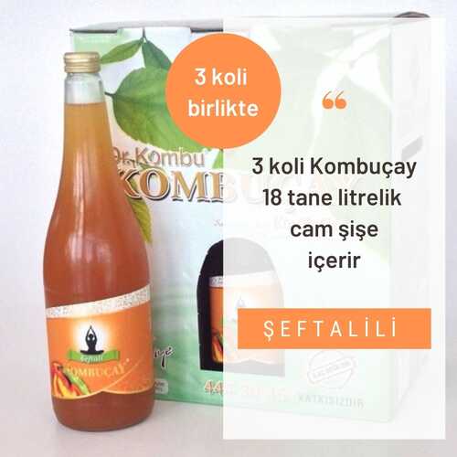 KOMBUÇAY - Kombuçay Şeftali 3 KOLİ