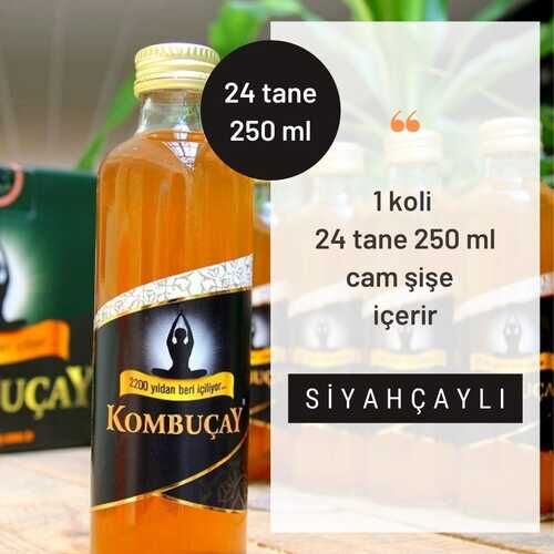 KOMBUÇAY SADE 24 tane 250 mL - 1