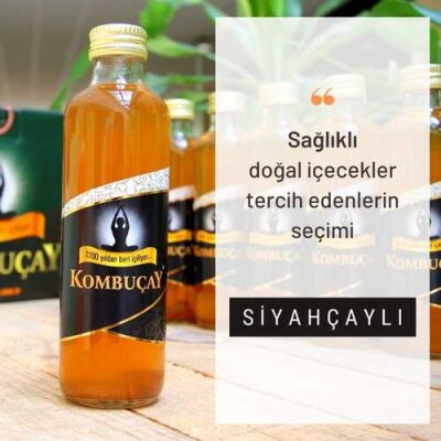 KOMBUÇAY SADE 24 tane 250 mL - 2