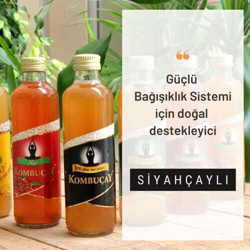 KOMBUÇAY SADE 24 tane 250 mL - 3